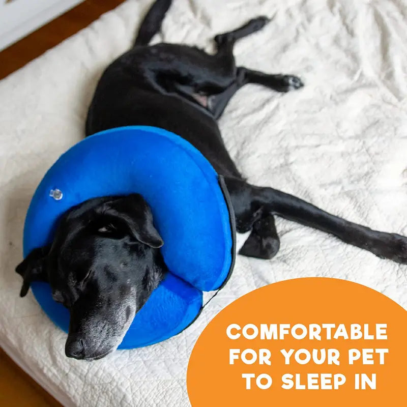 Inflatable Pet Recovery Collar for Dogs & Cats – Soft, Comfortable Post-Surgery & Wound Protection Collar