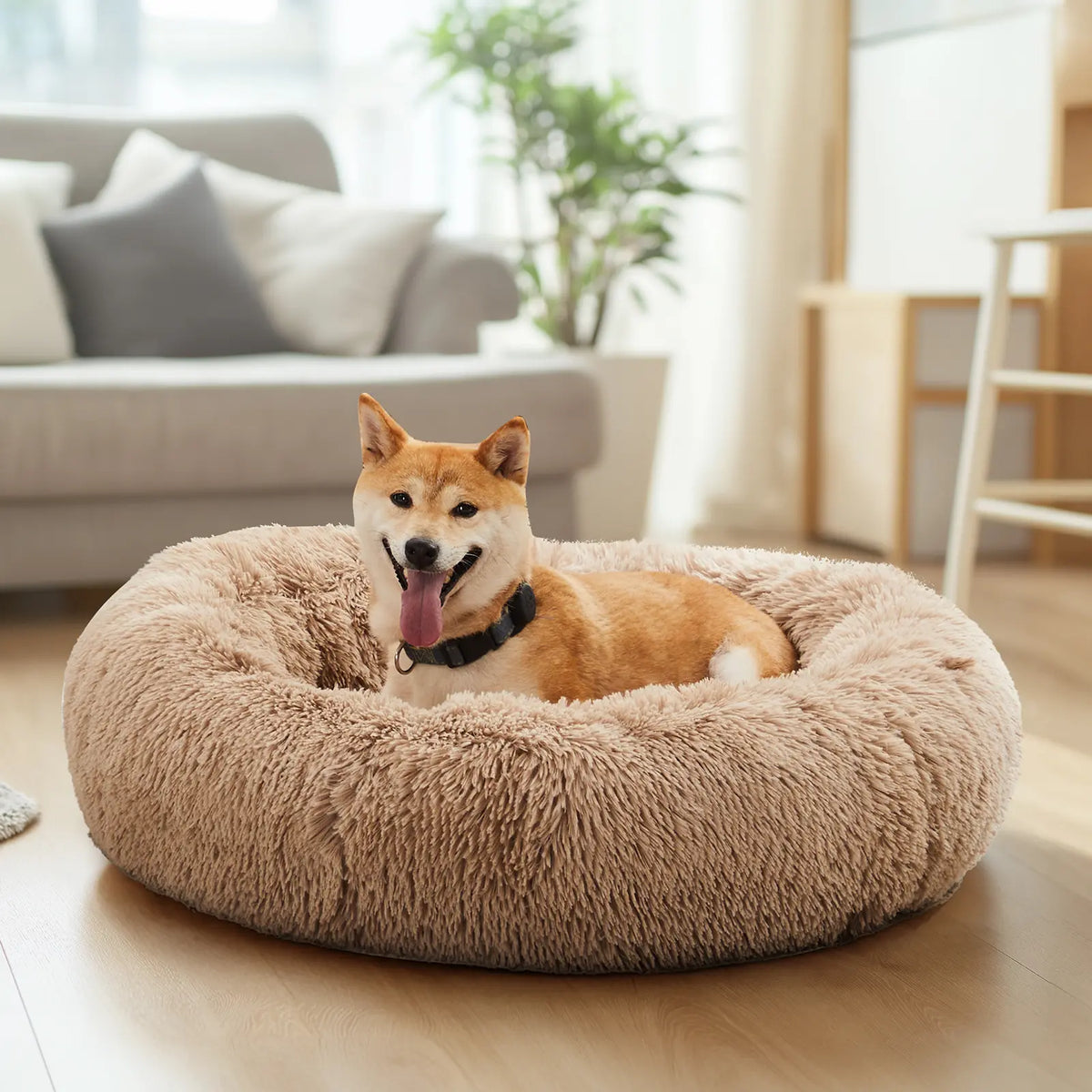 Sweetcrispy Modern Orthopedic Memory Foam Pet Bed for Large Dogs - 3-Sided Bolsters, 20"L x 24"W x 8"Th, Waterproof Detachable Cover, Non-Slip Base, Joint Relief and Consistent Support for Enhanced Comfort and Recovery