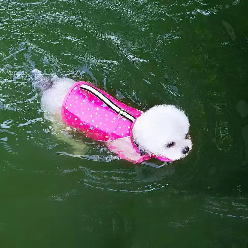 French Bulldog Life Jacket – Float Vest with Rescue Handle & Removable Neck Support