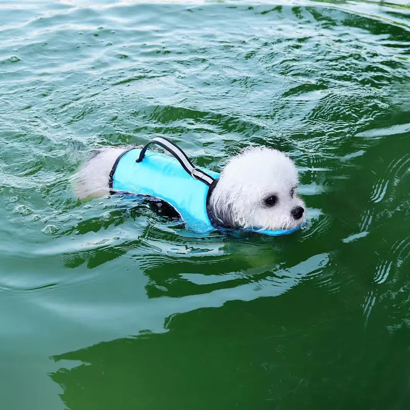 French Bulldog Life Jacket – Float Vest with Rescue Handle & Removable Neck Support