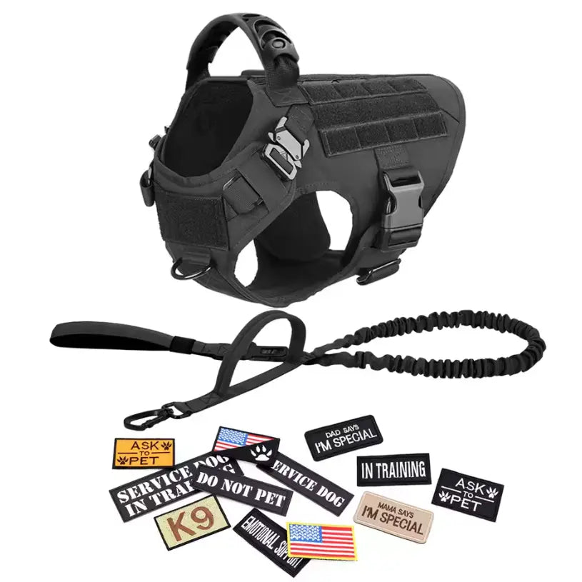 CWV No Pull Dog Harness and Leash Combo with 12 Patches,#Backtoschool, Adjustable Safety Harness – Soft Padded, Easy on & off – Dog Walking & Training, for Medium Large Dogs Dog Accessories