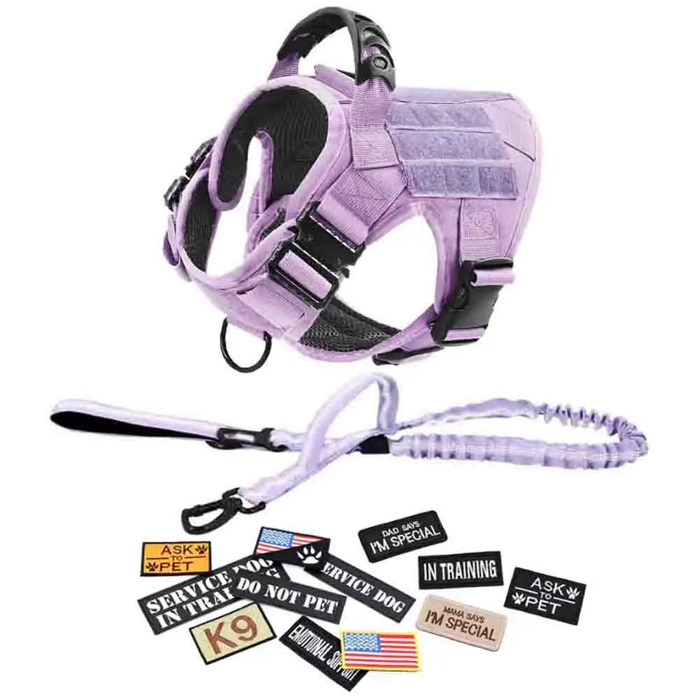 CWV No Pull Dog Harness and Leash Combo with 12 Patches,#Backtoschool, Adjustable Safety Harness – Soft Padded, Easy on & off – Dog Walking & Training, for Medium Large Dogs Dog Accessories