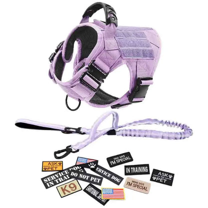 CWV No Pull Dog Harness and Leash Combo with 12 Patches,#Backtoschool, Adjustable Safety Harness – Soft Padded, Easy on & off – Dog Walking & Training, for Medium Large Dogs Dog Accessories
