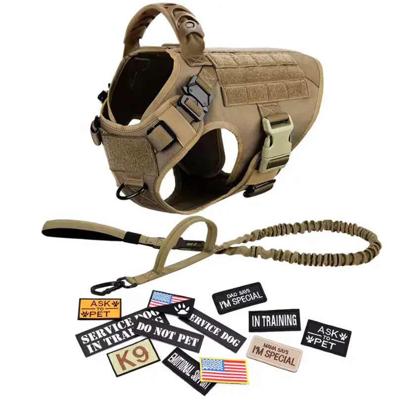 CWV No Pull Dog Harness and Leash Combo with 12 Patches,#Backtoschool, Adjustable Safety Harness – Soft Padded, Easy on & off – Dog Walking & Training, for Medium Large Dogs Dog Accessories