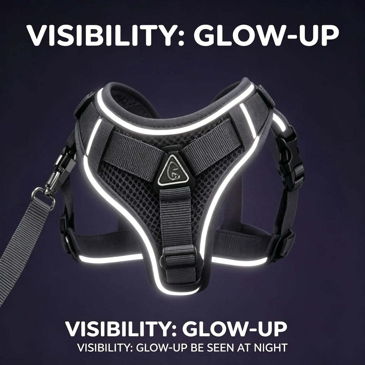Escape-Proof Cat and Kitten Harness and Leash Set - Adjustable Breathable Mesh Vest with Reflective Strip and Comfortable Materials for Safe Walking (Includes Summer Edition)