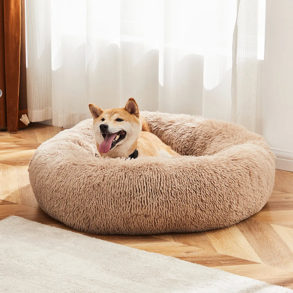 Sweetcrispy Modern Orthopedic Memory Foam Pet Bed for Large Dogs - 3-Sided Bolsters, 20"L x 24"W x 8"Th, Waterproof Detachable Cover, Non-Slip Base, Joint Relief and Consistent Support for Enhanced Comfort and Recovery