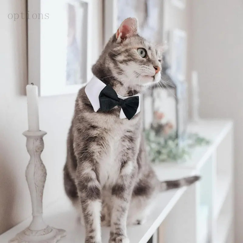 Adjustable Black & White Bow Tie Collar for Small Dogs - Machine Washable, Easy Washing, Universal Fit Formal Neckwear with Closure, All-Season Elegant Classic Pet Accessory for Weddings, Photo Shoots, Durable Wear
