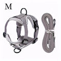 Escape-Proof Cat and Kitten Harness and Leash Set - Adjustable Breathable Mesh Vest with Reflective Strip and Comfortable Materials for Safe Walking (Includes Summer Edition)