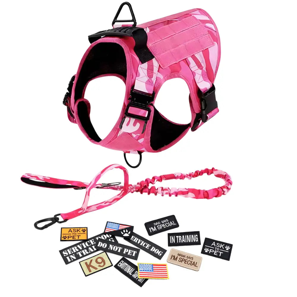 CWV No Pull Dog Harness and Leash Combo with 12 Patches,#Backtoschool, Adjustable Safety Harness – Soft Padded, Easy on & off – Dog Walking & Training, for Medium Large Dogs Dog Accessories