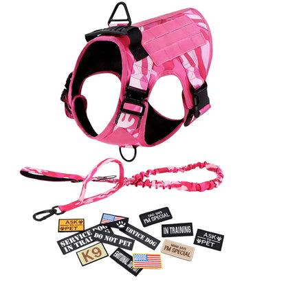 CWV No Pull Dog Harness and Leash Combo with 12 Patches,#Backtoschool, Adjustable Safety Harness – Soft Padded, Easy on & off – Dog Walking & Training, for Medium Large Dogs Dog Accessories
