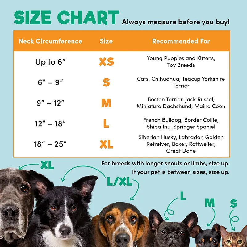 Inflatable Pet Recovery Collar for Dogs & Cats – Soft, Comfortable Post-Surgery & Wound Protection Collar