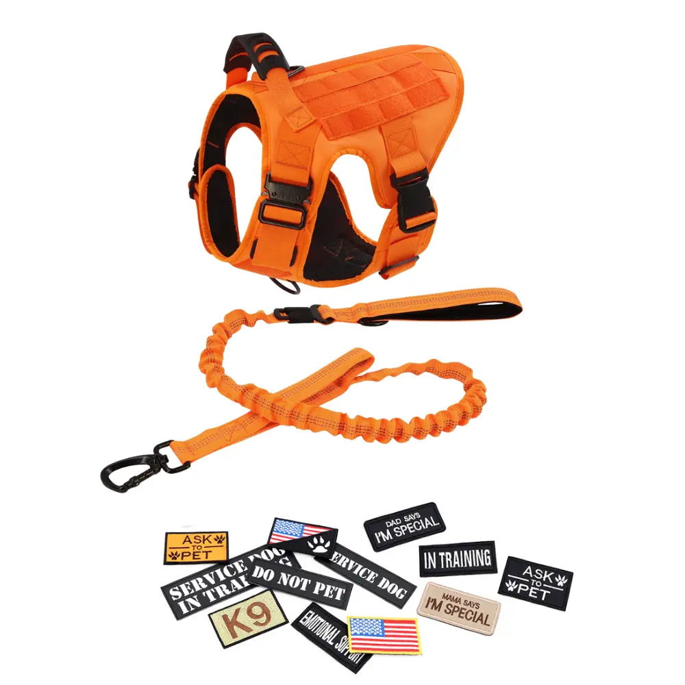 CWV No Pull Dog Harness and Leash Combo with 12 Patches,#Backtoschool, Adjustable Safety Harness – Soft Padded, Easy on & off – Dog Walking & Training, for Medium Large Dogs Dog Accessories