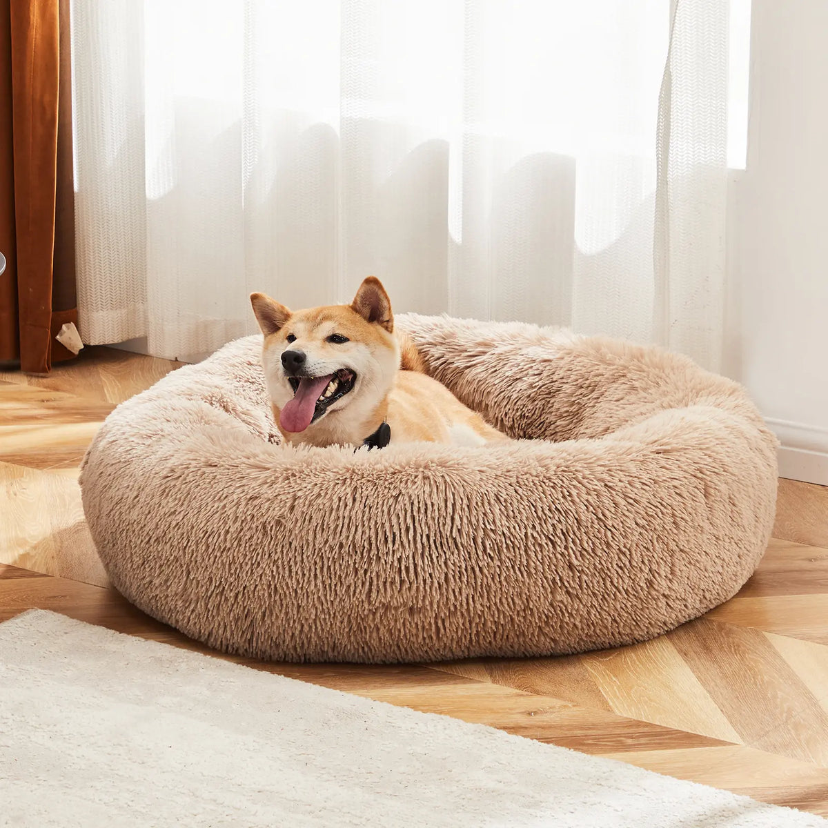 Sweetcrispy Modern Orthopedic Memory Foam Pet Bed for Large Dogs - 3-Sided Bolsters, 20"L x 24"W x 8"Th, Waterproof Detachable Cover, Non-Slip Base, Joint Relief and Consistent Support for Enhanced Comfort and Recovery