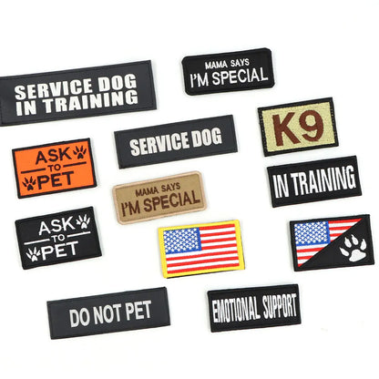 CWV No Pull Dog Harness and Leash Combo with 12 Patches,#Backtoschool, Adjustable Safety Harness – Soft Padded, Easy on & off – Dog Walking & Training, for Medium Large Dogs Dog Accessories