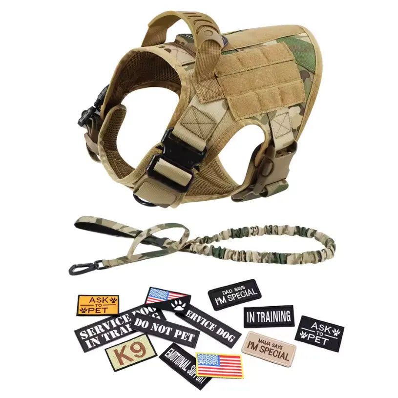 CWV No Pull Dog Harness and Leash Combo with 12 Patches,#Backtoschool, Adjustable Safety Harness – Soft Padded, Easy on & off – Dog Walking & Training, for Medium Large Dogs Dog Accessories